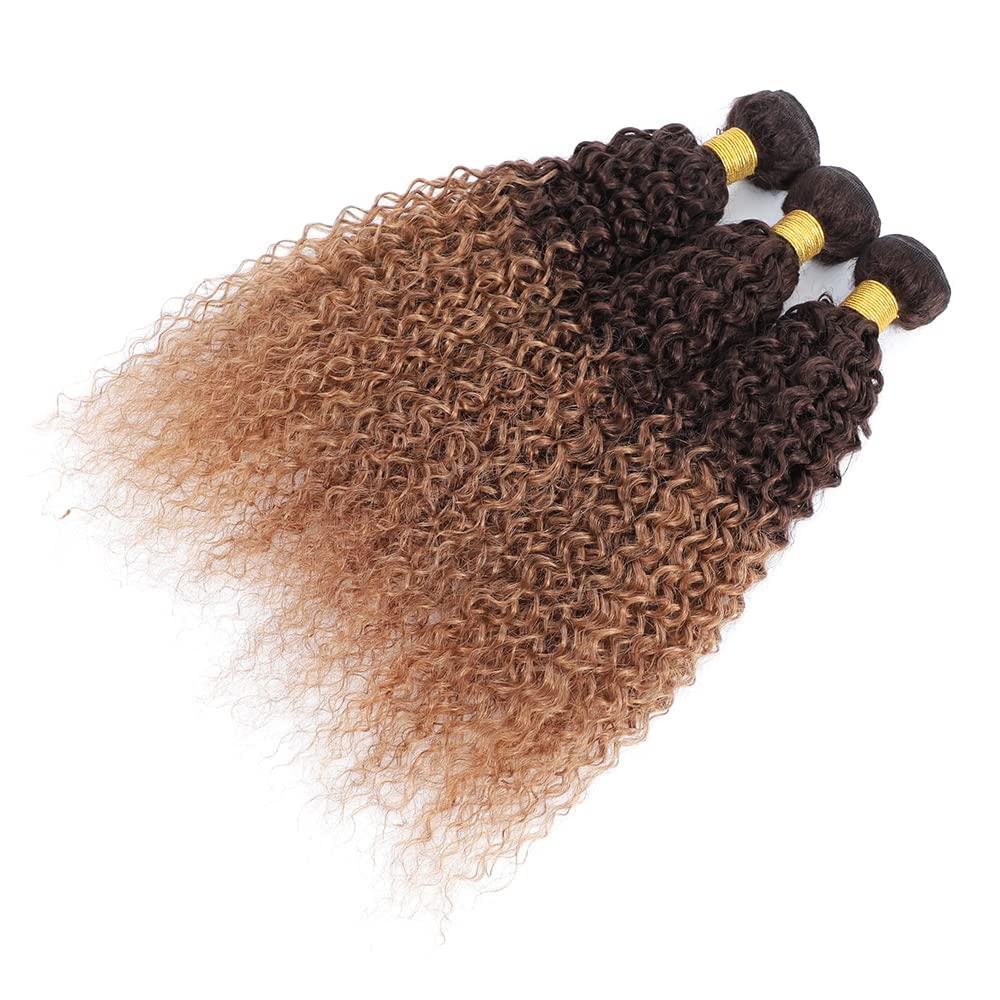 FASHION VILA Curly Bundles Human Hair 2 Tone Ombre Brazilian Virgin Hair 3 Bundles Human Hair Weave Bundles 100% Unprocessed Kinky Curly Human Hair Extensions T4/30 Medium Brown/Medium Auburn(22 24 26)