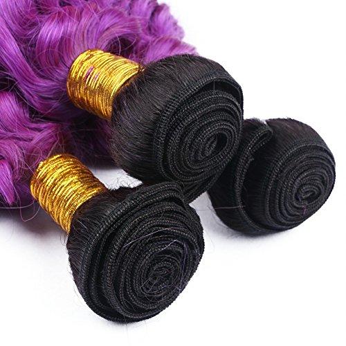 Tony beauty hair Tony Beauty Hair Dark Root Purple Ombre Virgin Brazilian Human Hair Bundle Deals Deep Wave 3Pcs Lot #1B/Purple Ombre Brazilian Virgin Hair Wefts Wavy Human Hair Extensions (10 10 10)