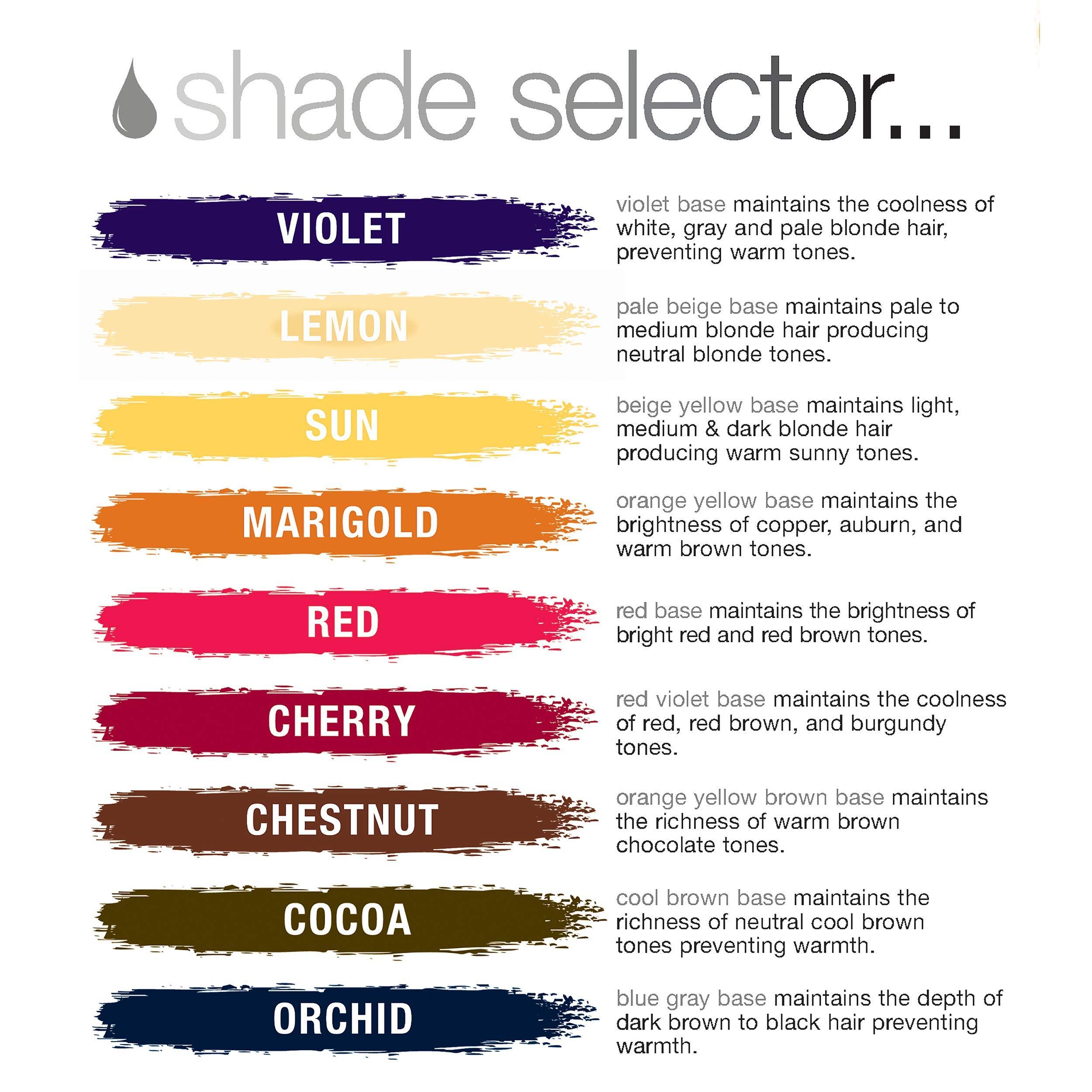 Pure Blends Pure Blends Chestnut Color Depositing Shampoo & Conditioner 33.8 Oz. Brightens and Tones Color Faded Hair Prevent Color Fade & Extend Color Service on Color Treated Hair Semi Permanent Hair Dye