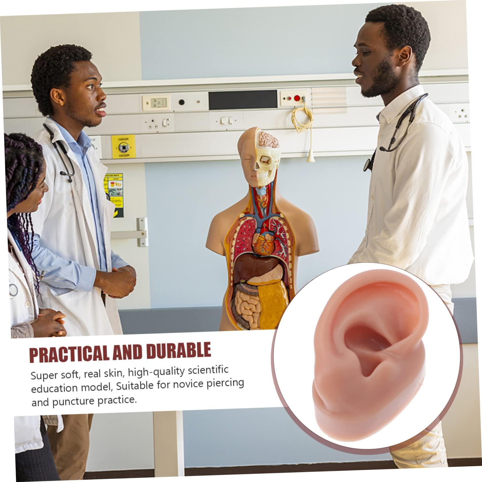 BIUDECO BIUDECO 1pc Human Ear Model Ear Picker Headphones Ear Defenders Ear Practice Model Reusable Earwax Symmetry Ear Cleaning Loop Lanyard Vibes Earphones Coffee