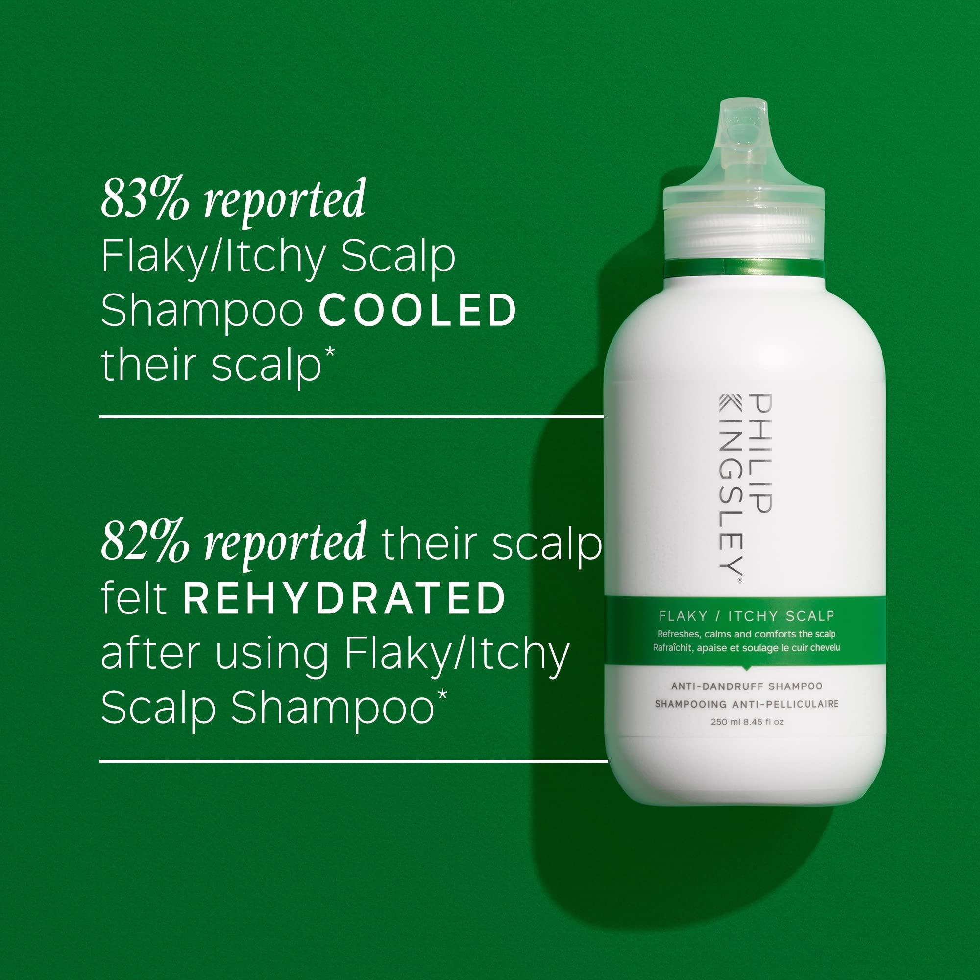 PHILIP KINGSLEY Philip Kingsley Flaky Scalp Shampoo, 8.45 Ounce