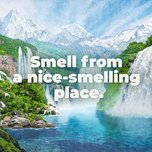 Irish Spring Irish Spring Moisture Blast Body Wash for Men, 20 Oz