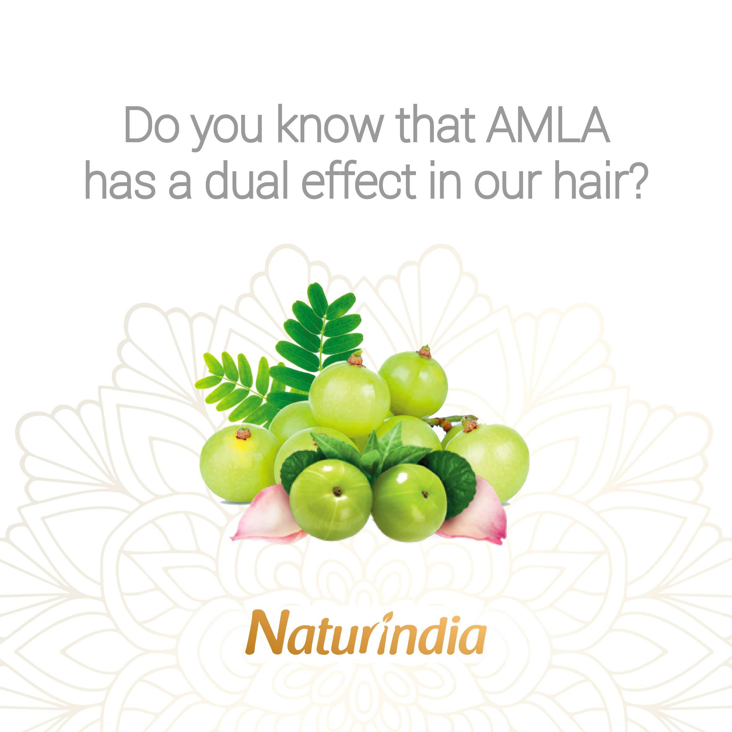 Naturindia Ayurvedic Shampoo & conditioner with Organic Amla and Shikakai for hair growth and restauration for stronger hair Natural herbs Vitamin C and B