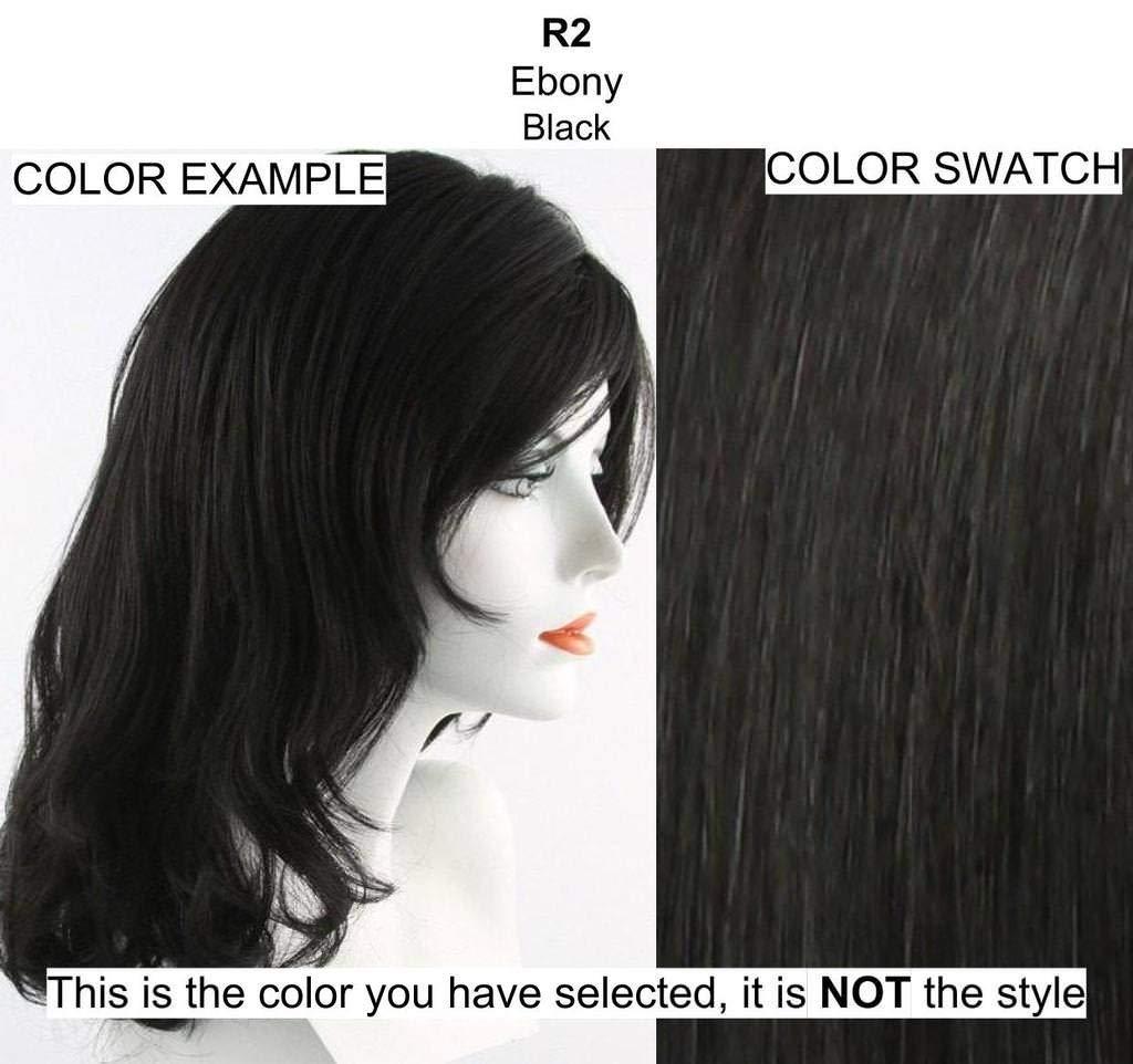 Hairdo & Maxwigs 12\" Simply Straight Pony Color R2 Ebony - Hairdo Wrap-Around Hook-and-Loop Attachment Ponytail Tru2Life 100% Heat Friendly Synthetic Braid or Curly Hairpiece Cola de Caballo Hairloss Booket