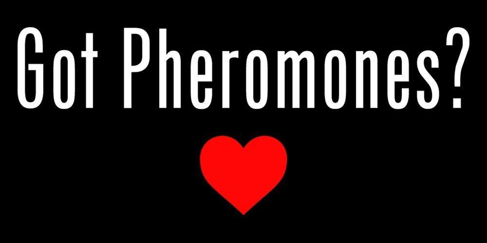 PheromoneOil.com Men\'s - Feng Shui Wood Scented Pheromone Oil (Roll On)