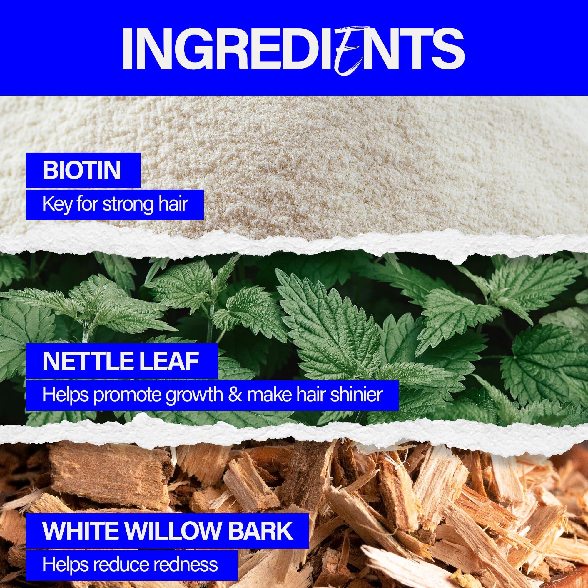 DONNA DONNA ASST SIZE Seamless Ponytail Holders 6pcs ASSORT