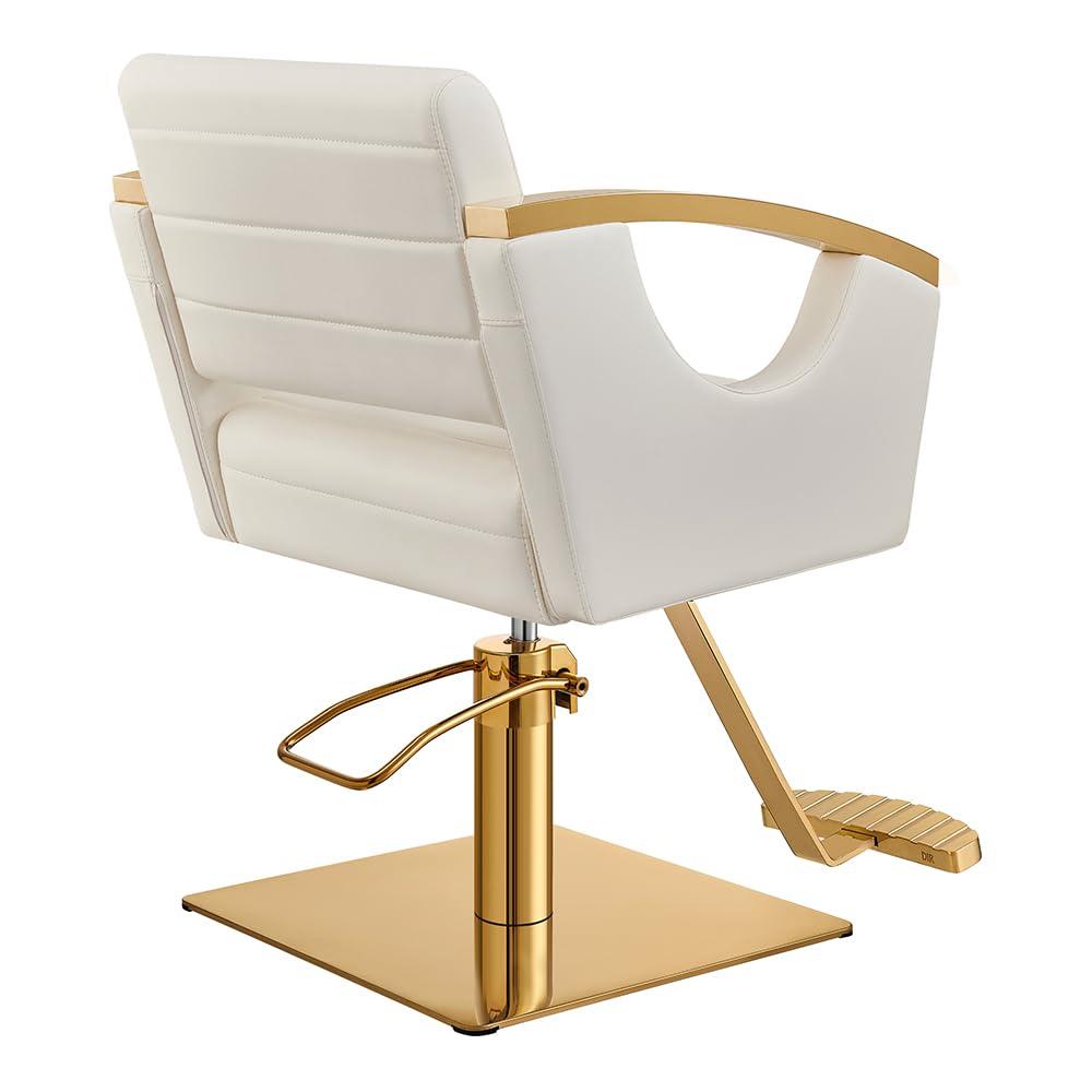 Dir Dir Salon Styling Chair Hair Salon Stylist Chair w/Gold Frame Bello