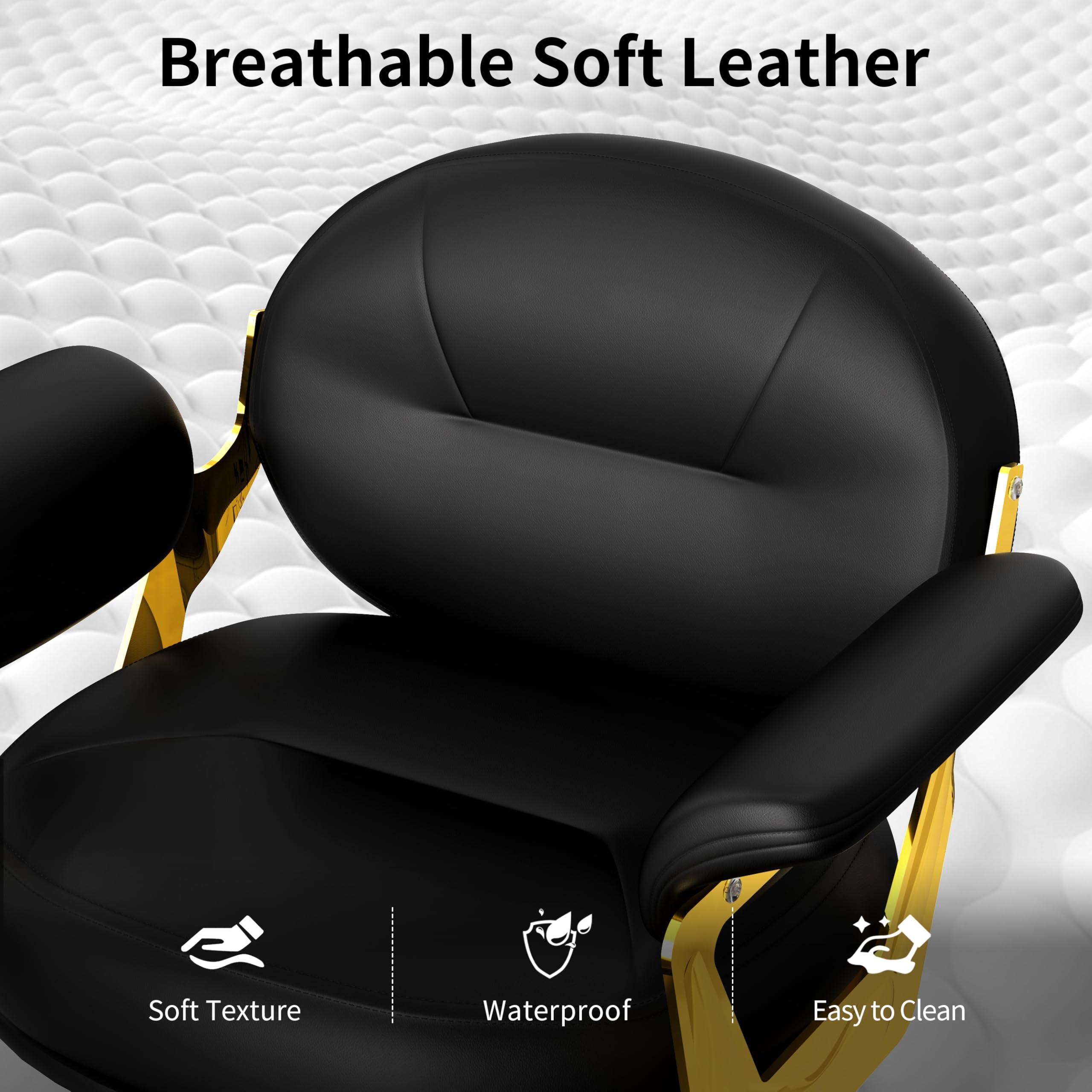 Baasha Baasha Comfortable Black and Gold Salon Chair with Memory Cushion, Professional Stylist Chairs with Wide Seat & Padded Armrest, 360 Swivel Styling Chairs, Weight Capacity Up to 440 lbs