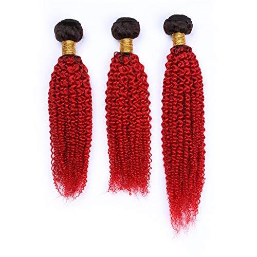 Tony beauty hair Tony Beauty Hair Kinky Curly Virgin Brazilian Human Hair Red Ombre Weave Bundles 3Pcs with 13x4 Free Part Frontal Closure 4Pcs Lot #1B/Red Ombre Hair Wefts with Lace Frontal (22 24 26+20)