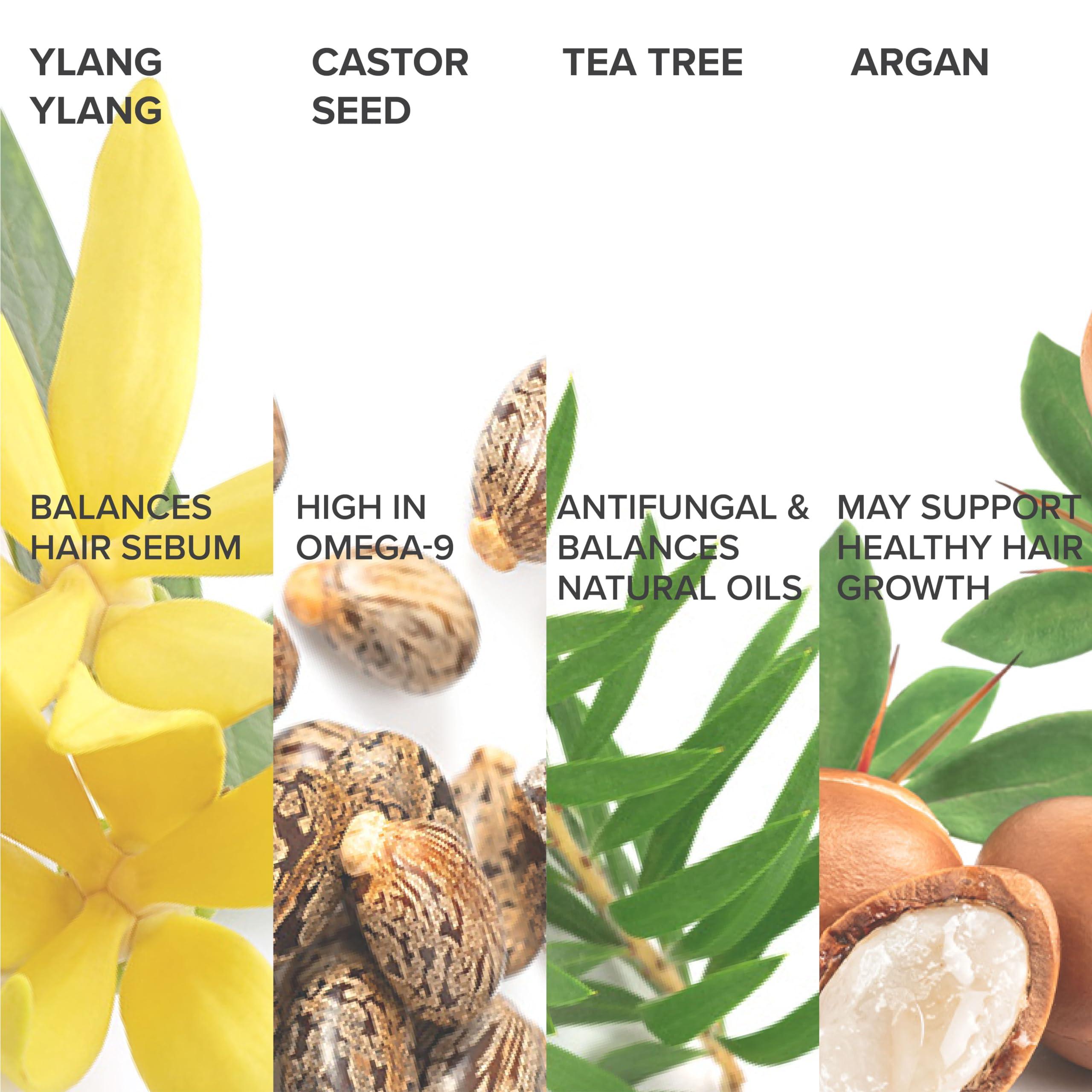 Shedavi Shedavi Iconic Vegan Hair Serum with Botanicals - Growth Treatment for Women & Men\'s Dry, Damaged Hair and Scalp with Argan, Coconut, Castor, and Tea Tree Oils