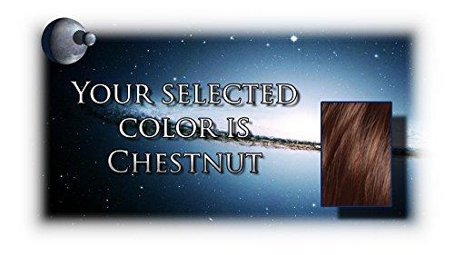 Rene of Paris Rene of Paris Wigs : Cameron (#2362) (Chestnut)