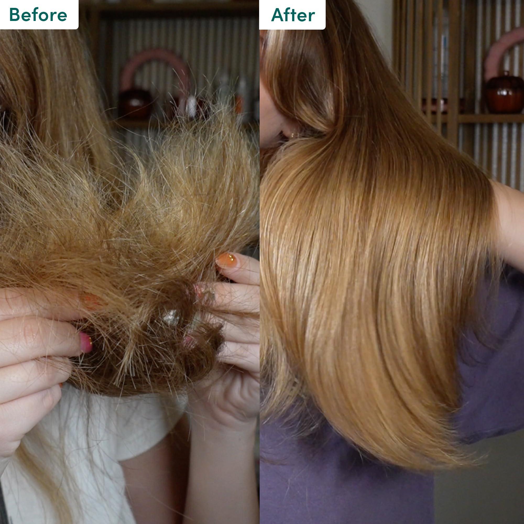 Coco & Eve Coco & Eve Like a Virgin Shampoo & Conditioner Bundle Set - Natural, Sulfate free Hair Care with Argan Oil, Coconut and Avocado Oil | For Dry Damaged, Color Treated Hair | Anti Frizz (8.4 fl oz each)