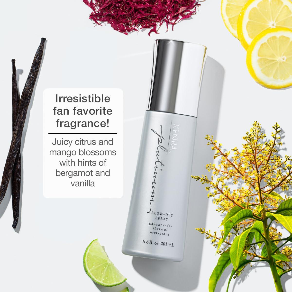 Kenra Professional Kenra Platinum Blow-Dry Spray | Time-Saving Heat Protectant | Detangles, Smooths, and Softens | Eliminates Frizz & Resists Humidity | Medium To Coarse Hair | 6.8 fl. oz. (2-Pack)