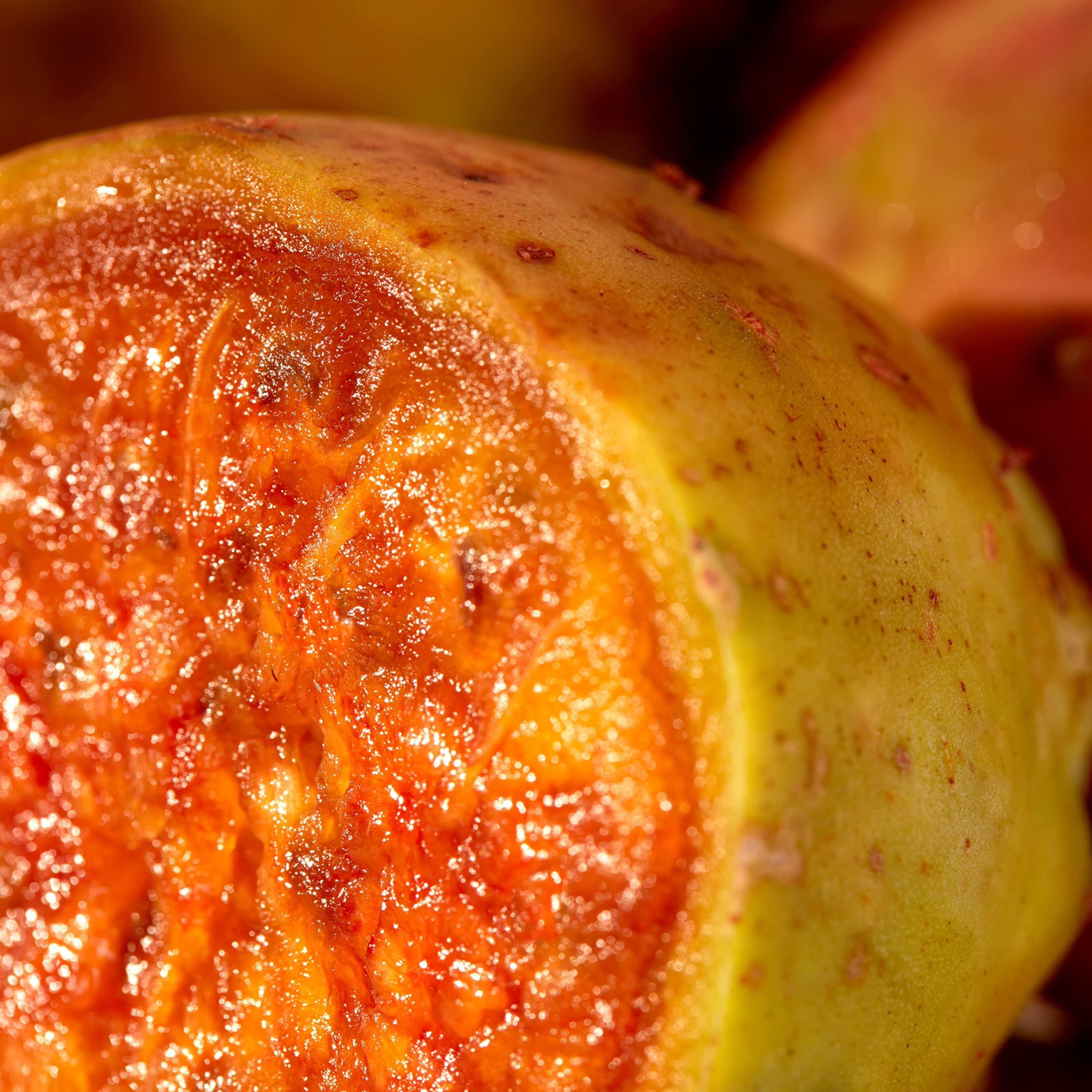 Christophe Robin Christophe Robin Regenerating Mask with Prickly Pear Seed Oil for Dry, Damaged and Chemically Treated Hair 75ml, Travel Size