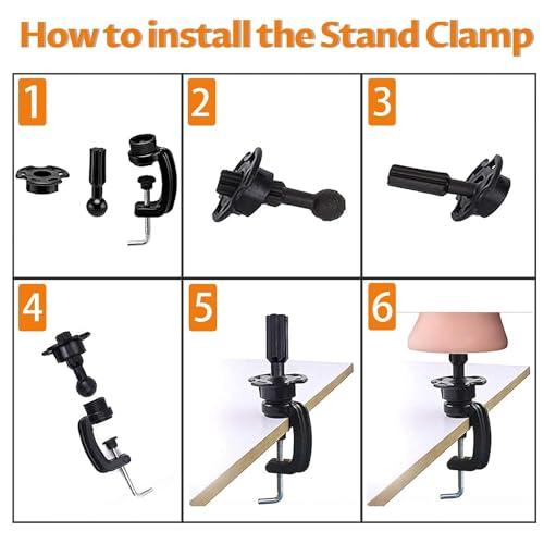 BaodanHair African Mannequin Head with 100% Human Hair Curly Cosmetology Manican Mannequins Heads with Stand for Display Practice Braiding Styling Training Head Hair Styling