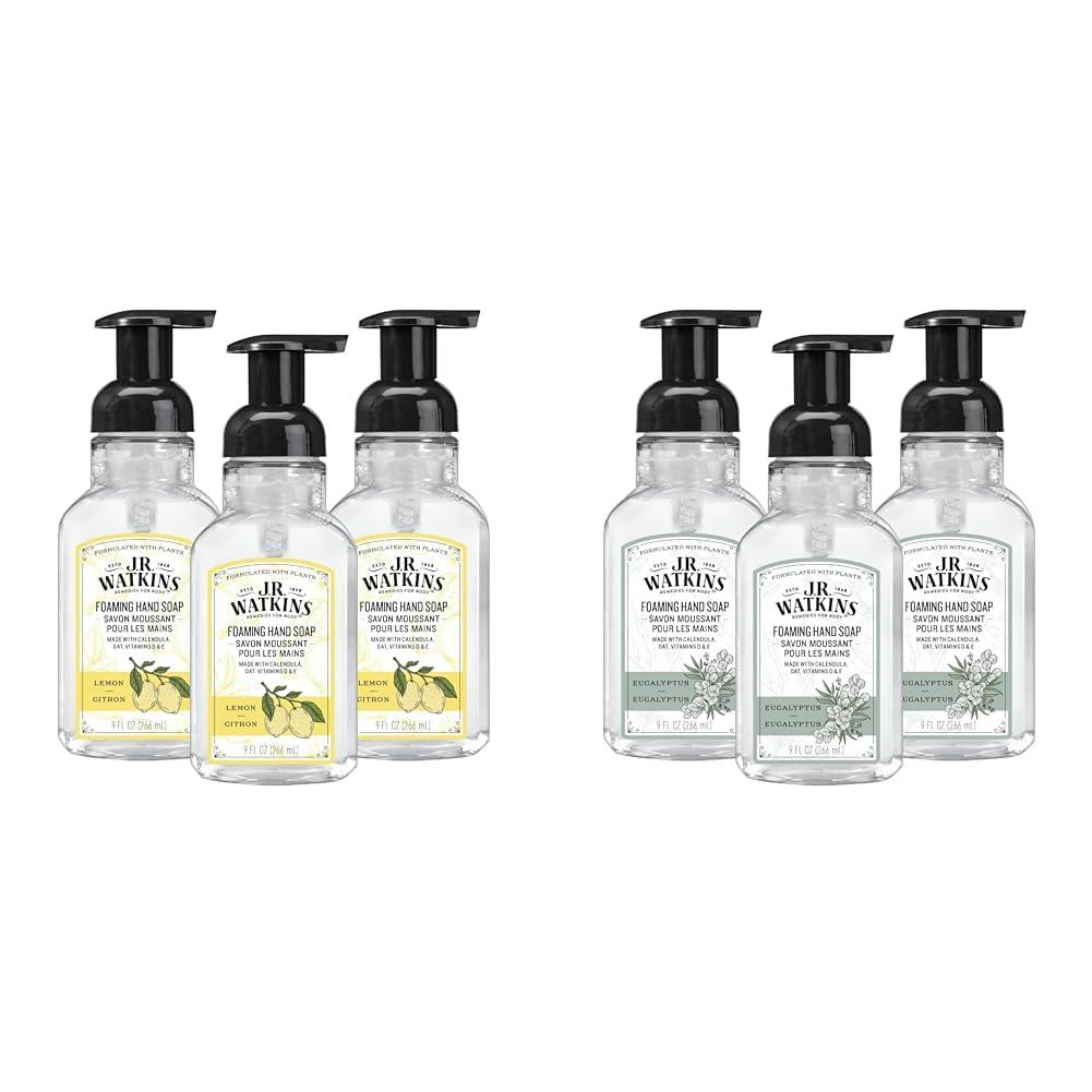 J.R. Watkins J.R. Watkins Foaming Hand Soap with Pump Dispenser, Moisturizing Foam Hand Wash, All Natural & Foaming Hand Soap Pump with Dispenser, Moisturizing All Natural Hand Soap Foam