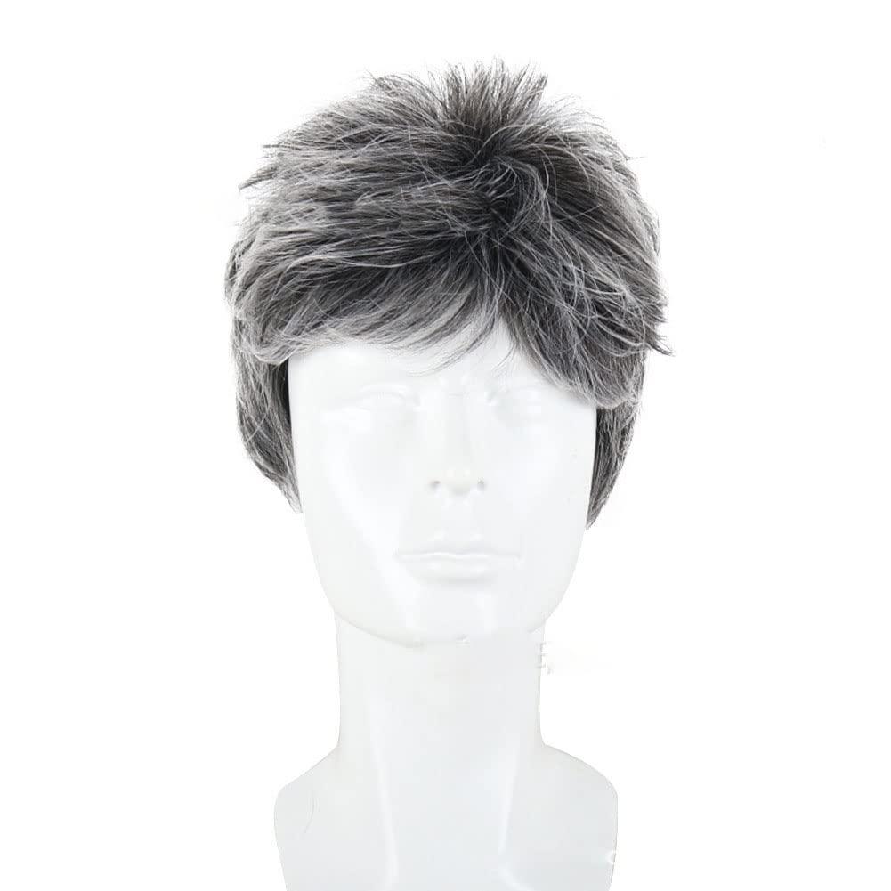 DKE&YMQ DKE&YMQ Grey Wig for Men, Fluffy and Realistic Short Hair Old Man Wig Side Parting Gentleman Men's Natural Hair Suitable for Middle-Aged and Elderly People's Daily Party Wear Christmas Banquet
