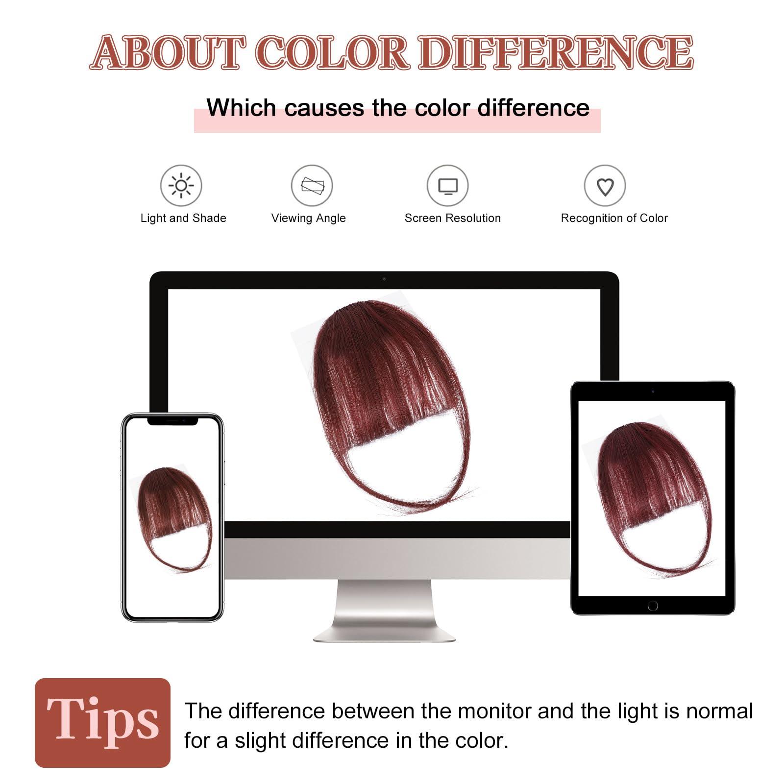 Lommel Lommel Clip in Bangs-100% Human Hair Bangs, Fake Bangs for Women Bangs Hair Clip Hair Extensions Clip on Air Bangs Hairpieces with Temples for Daily Wear (Burgundy)