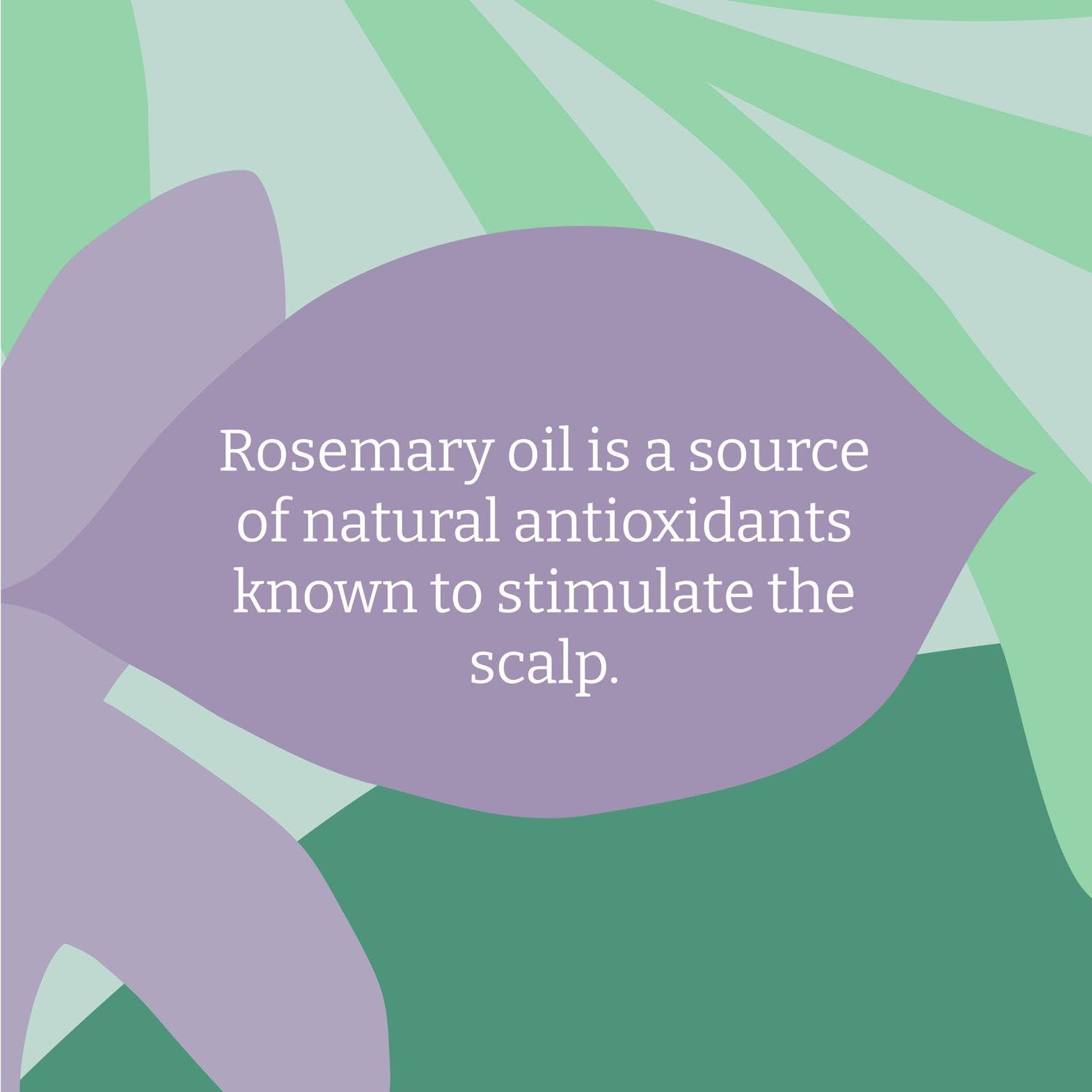 Faith in Nature Faith in Nature Natural Shampoo - Vegan & Cruelty Free, No SLS or Parabens - 13.5 fl oz, Rosemary