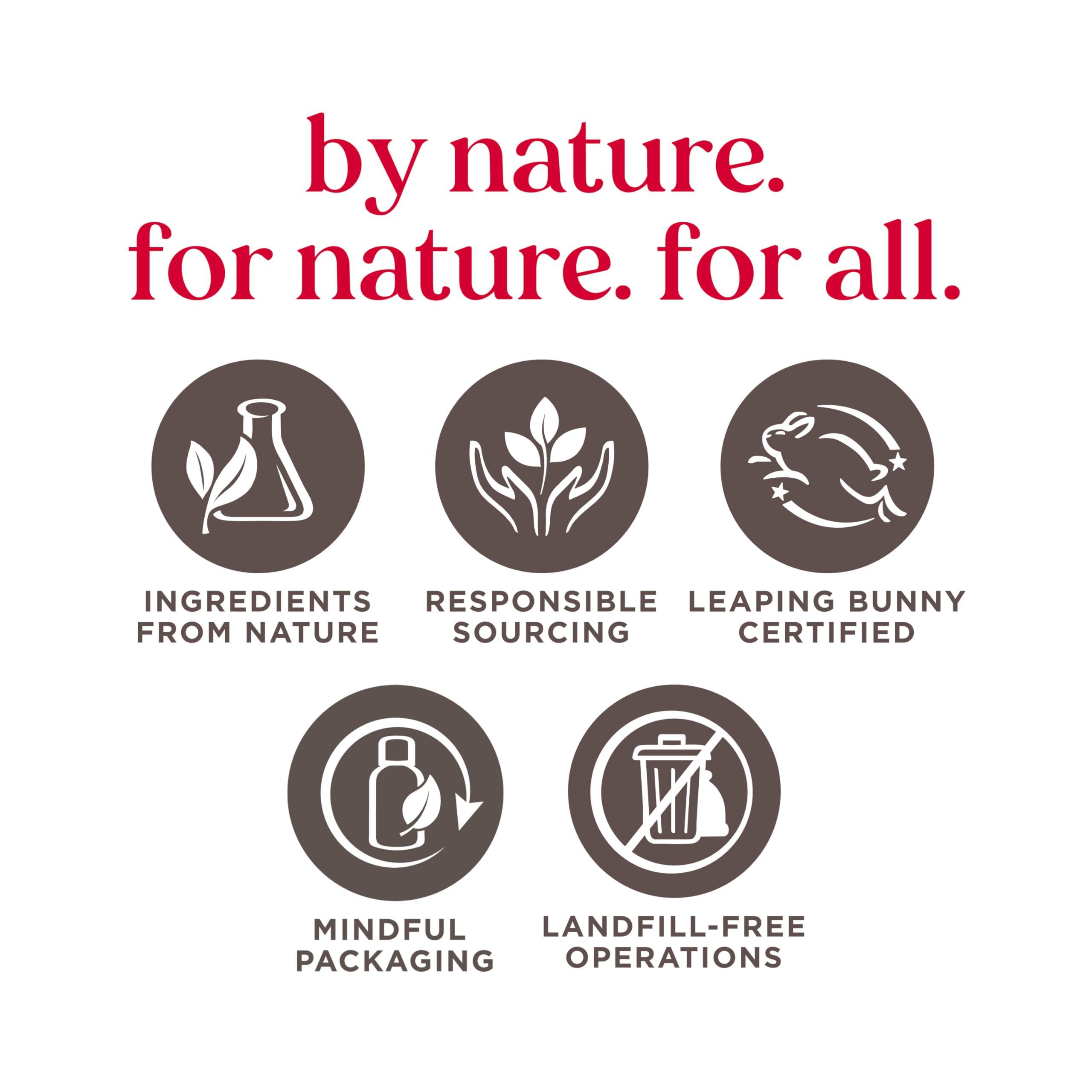 Burt\'s Bees BURTS BEES Kissable Color Lip Shimmer Holiday Gift, 1 EA