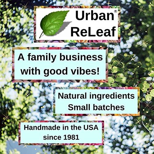 Urban ReLeaf Urban ReLeaf Piercing Relief Sea Salt Concentrate AFTERCARE 6 oz. Bag! Makes 90 Cups! Safely Clean, Soothe, Gently Heal Irritated & Keloid Bump Piercings. Dead Sea Salt, Tea Tree, Rosemary