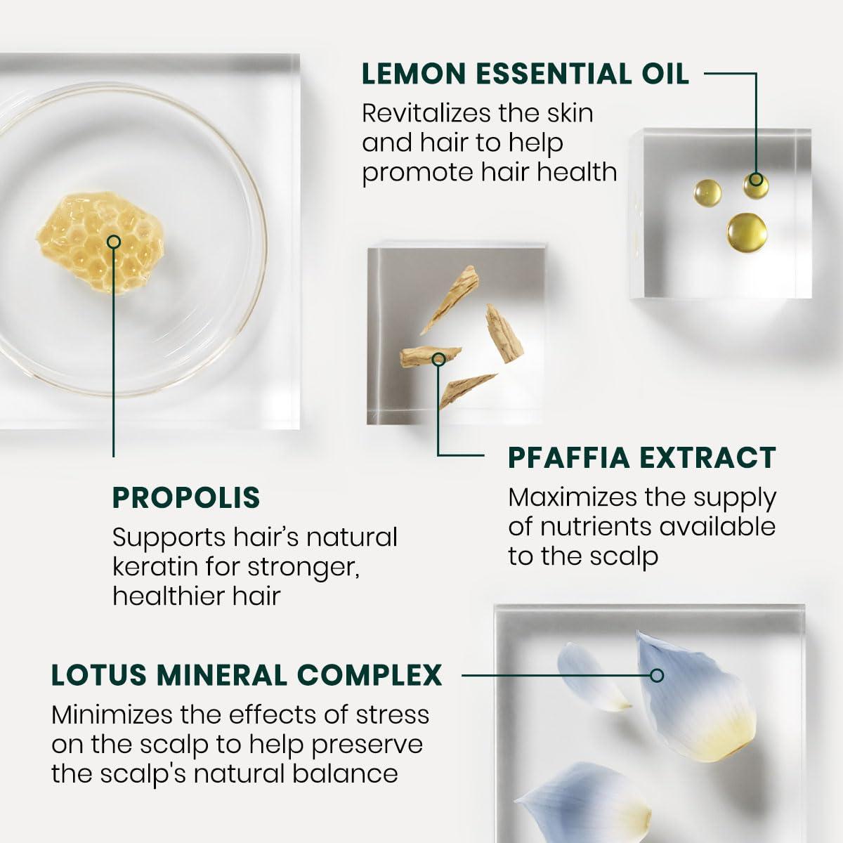 Ren Furterer Rene Furterer TRIPHASIC Reactional Concentrated Serum - For Sudden Thinning Hair - Postpartum, Stress - Drug-Free - 12 ct., 3-Month Supply