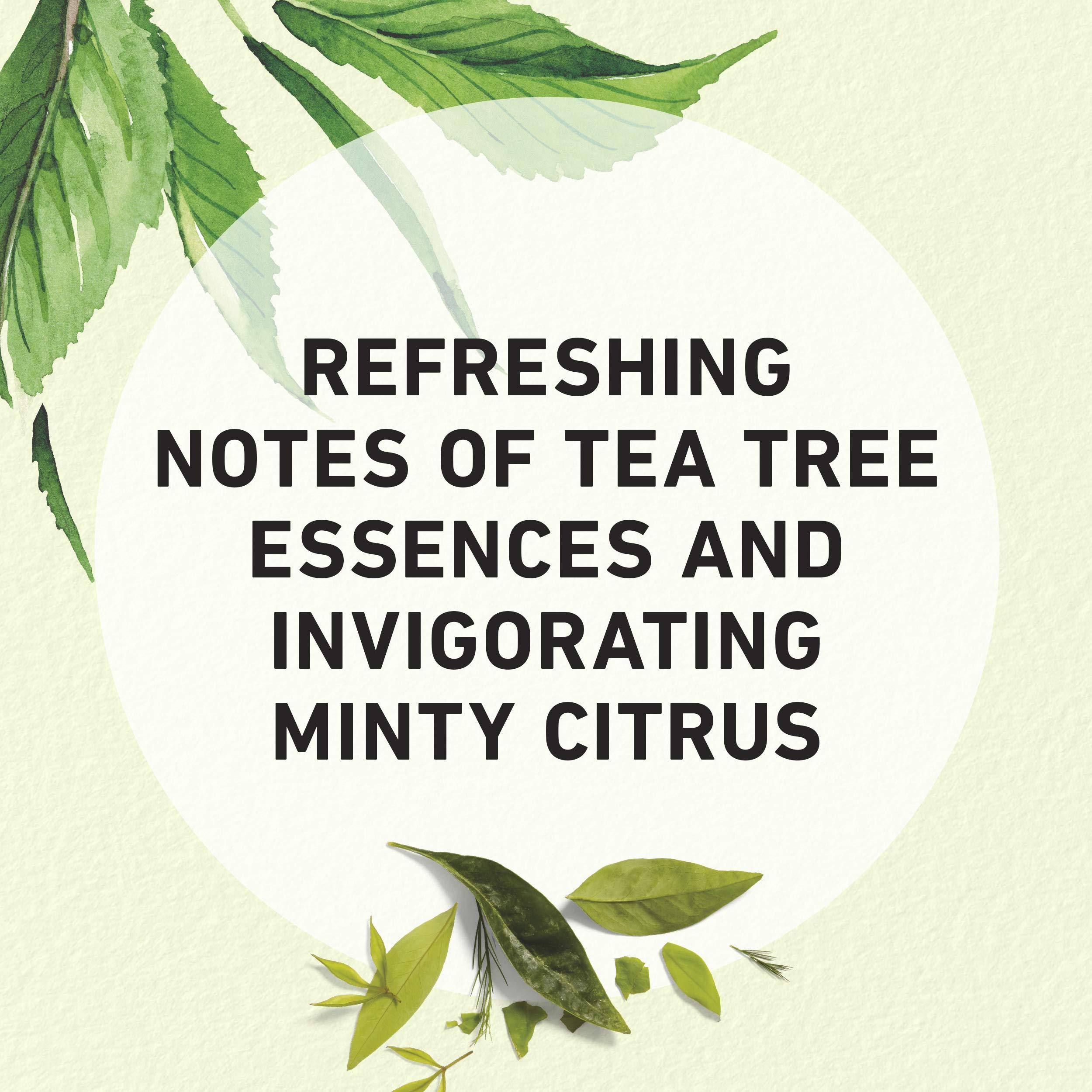 Herbal Essences Herbal Essences Clarifying Shampoo, Tea Tree, 29.2 Fl Oz, 7.949 Fl Oz