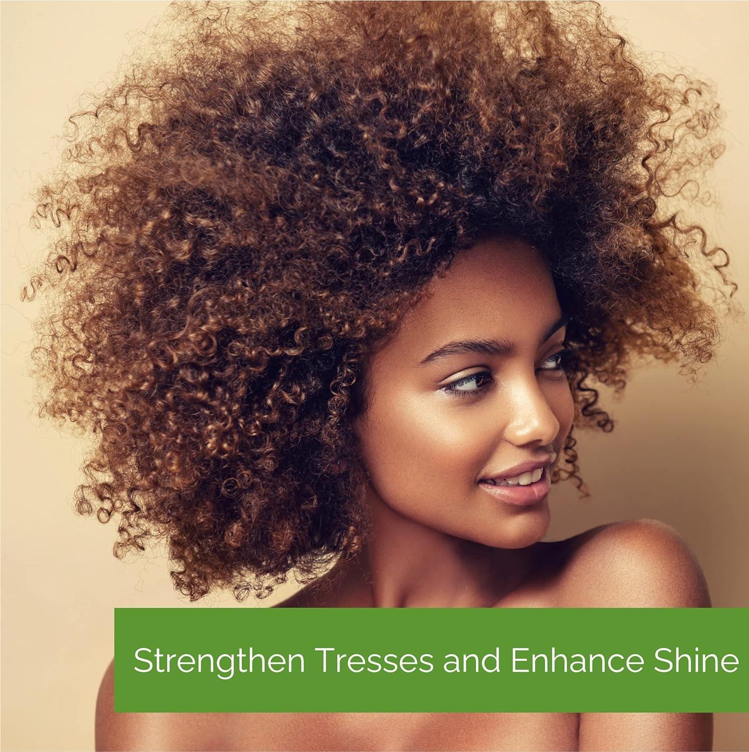 GIOVANNI GIOVANNI 2chic Ultra-Moist Shampoo - Avocado & Olive Oil, Creamy Hydration Formula, Enriched with Aloe Vera, Shea Butter, Botanical Extracts, No Parabens, Color Safe - 8.5 fl oz