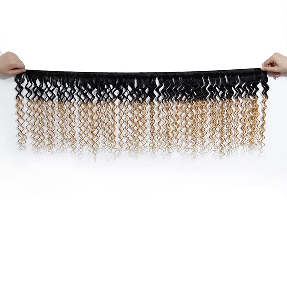 Dial Dial Professional Gold Antibacterial Liquid Hand Soap, 1 Gallon Refill Bottle & Cardinal Economy 3-Ring Binders, 1\", Round Rings, Holds 225 Sheets, ClearVue Presentation View