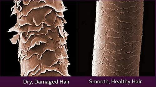 A.M.R Professional Violet Protein