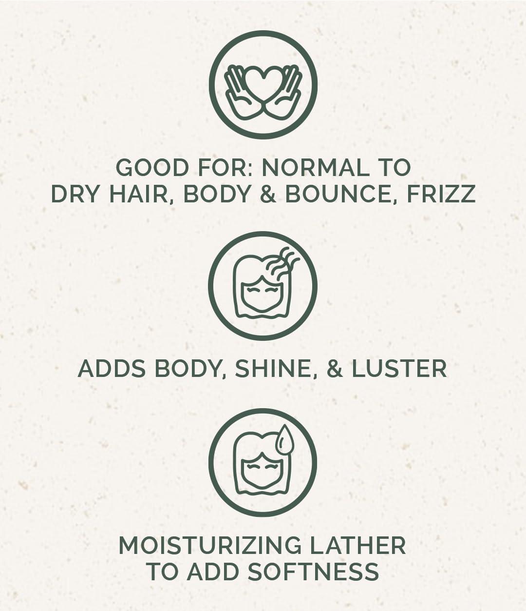 Chagrin Valley Soap & Salve Chagrin Valley Soap & Salve Organic Natural Shampoo Bar (Carrot Milk & Honey, 1 Bar)