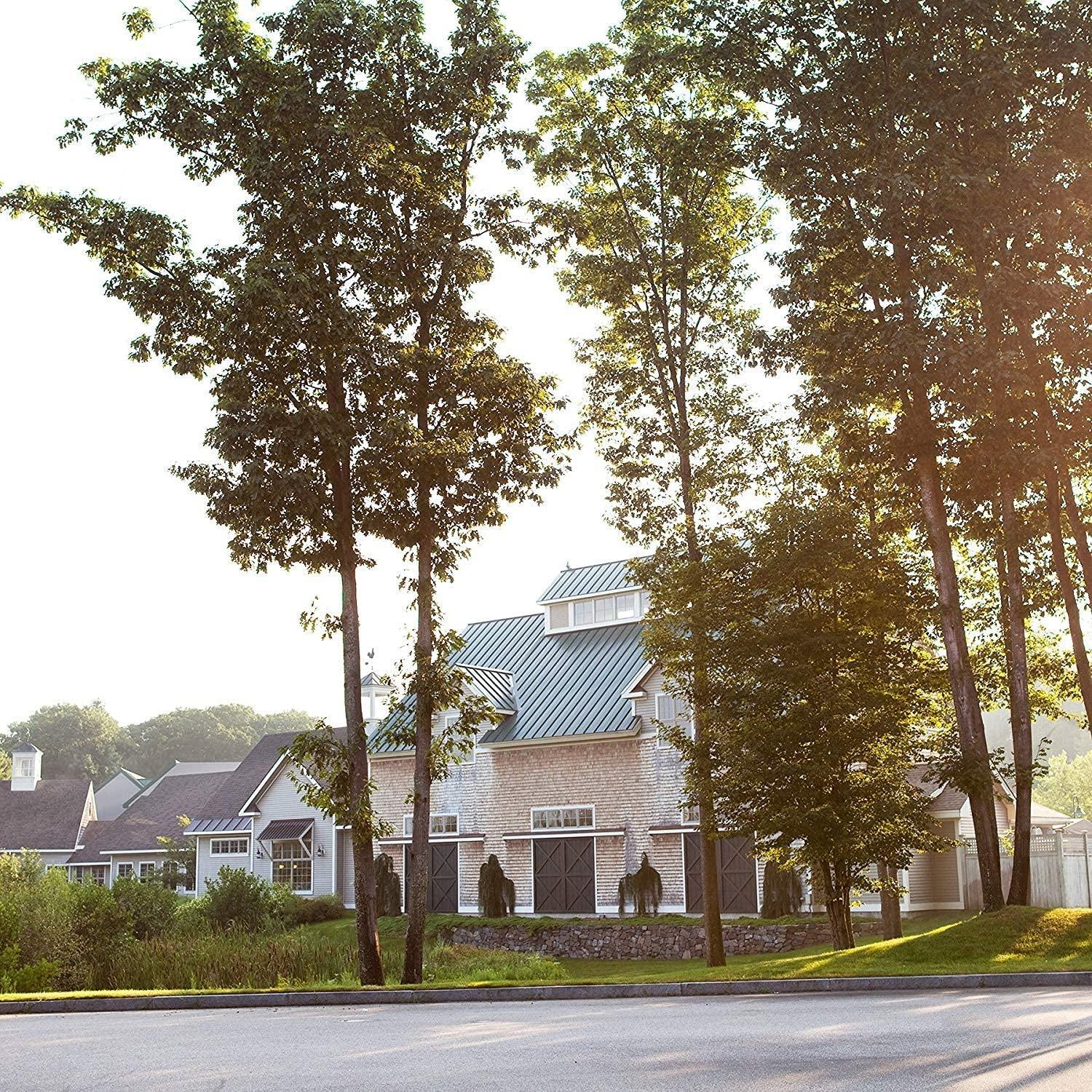 Michel Design Works Michel Design Works Cotton & Linen Large Bath Soap Bar, 8.7 oz