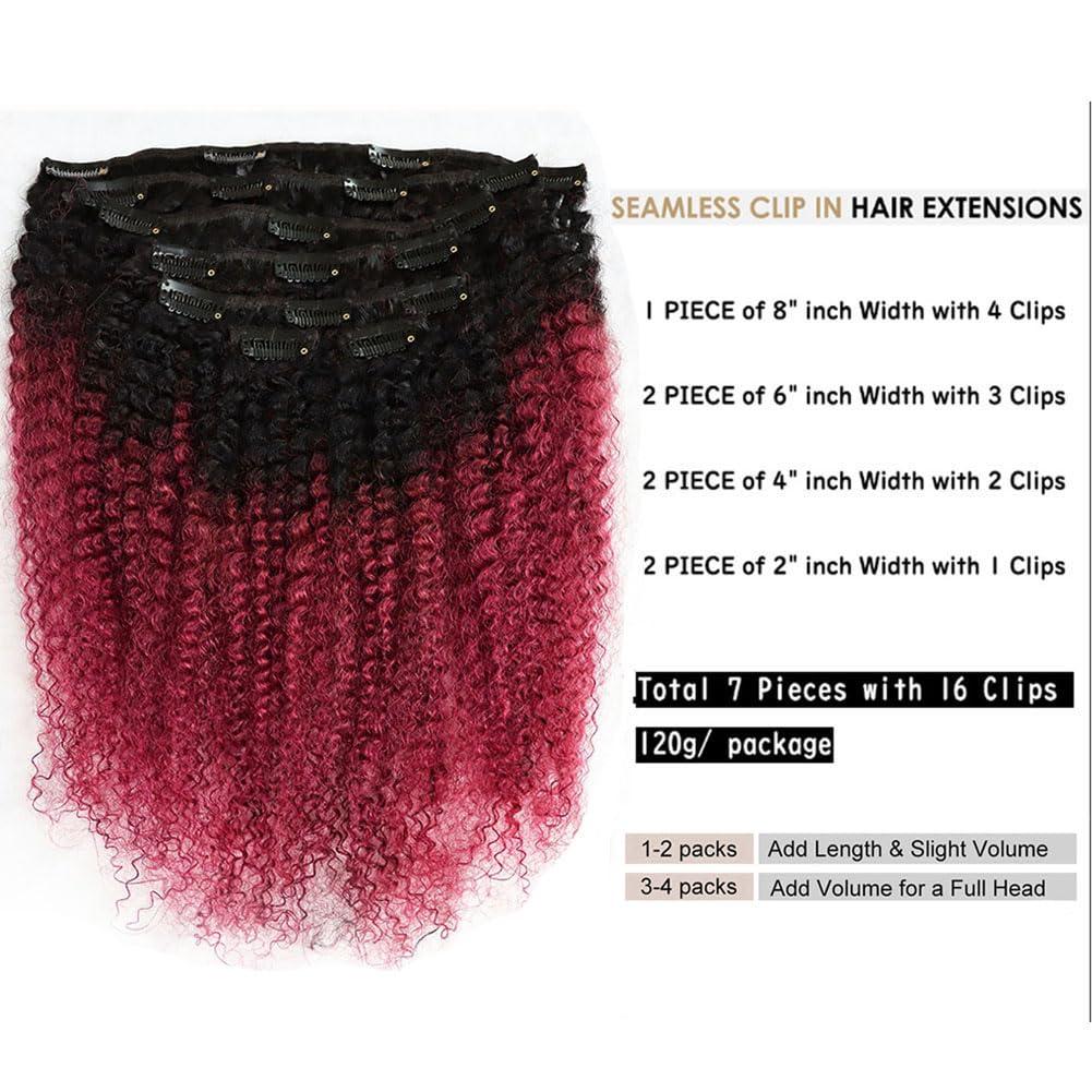 Kiss darling LASHES Afro Kinky Curly Clip in Hair Extensions Remy Brazilian Human Hair 4B4C for Women Two Tone T#1B/burg Kinky Curly Clip Ins Human Hair Extensions 26\"inch 120g