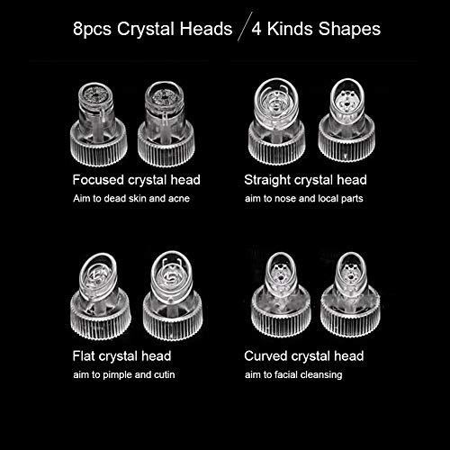 Zerone- Facial Suction Machine, Facial Cleaning Machine Small Bubbles Vacuum Suction Beauty Equipment for Home or SPA Salon (1#)