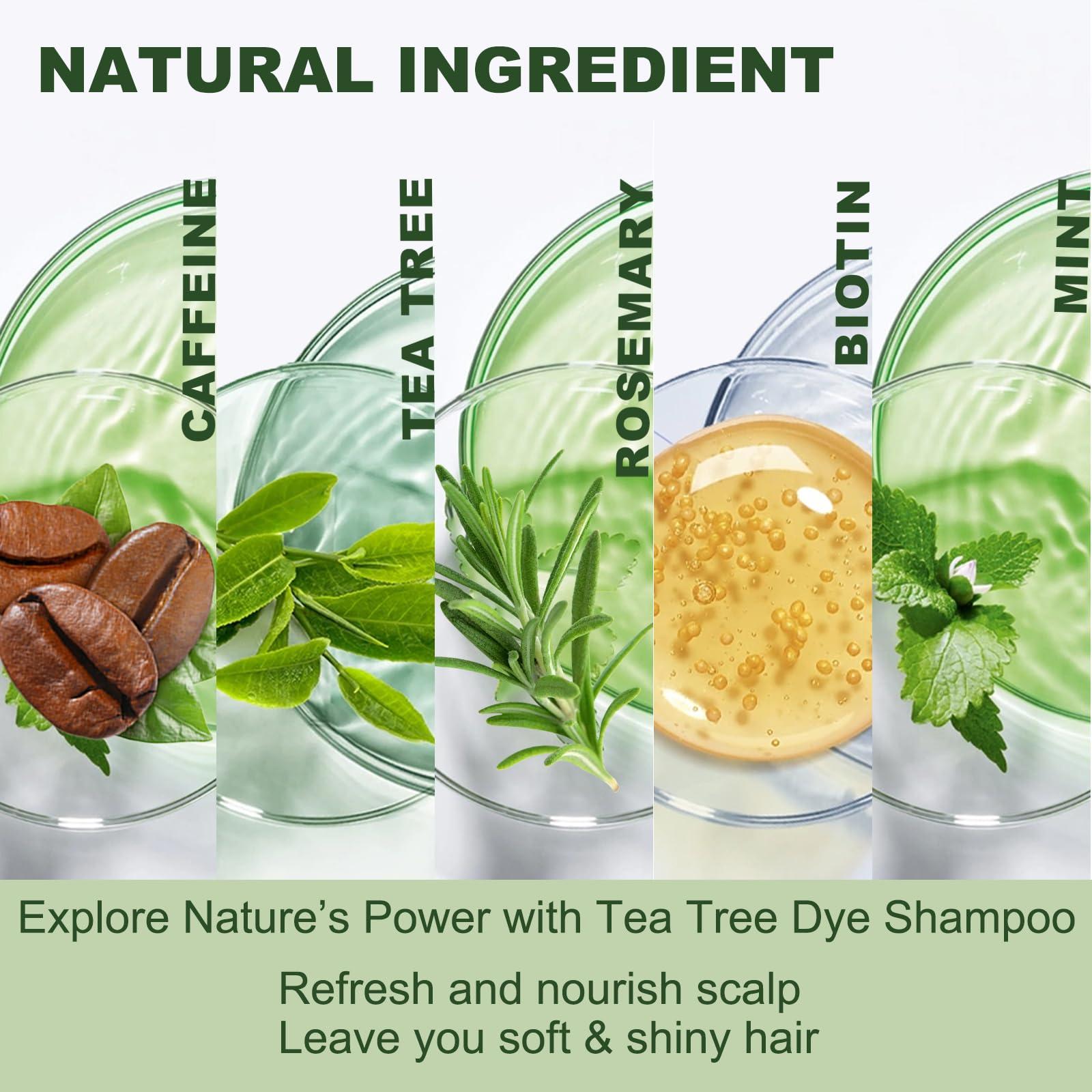 NCEPROHR NCEPROHR Light Brown Hair Dye Shampoo, 3 in 1 with Rosemary & Tea Tree for Dark Hair, Suitable for Men & Women, Rapid in use and Long Lasting, 500ML