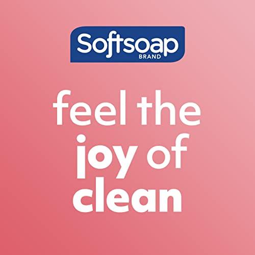 Softsoap Softsoap Body Wash, Coconut Butter Scrub , Exfoliating Body Wash, 20 Ounce, 4 Pack