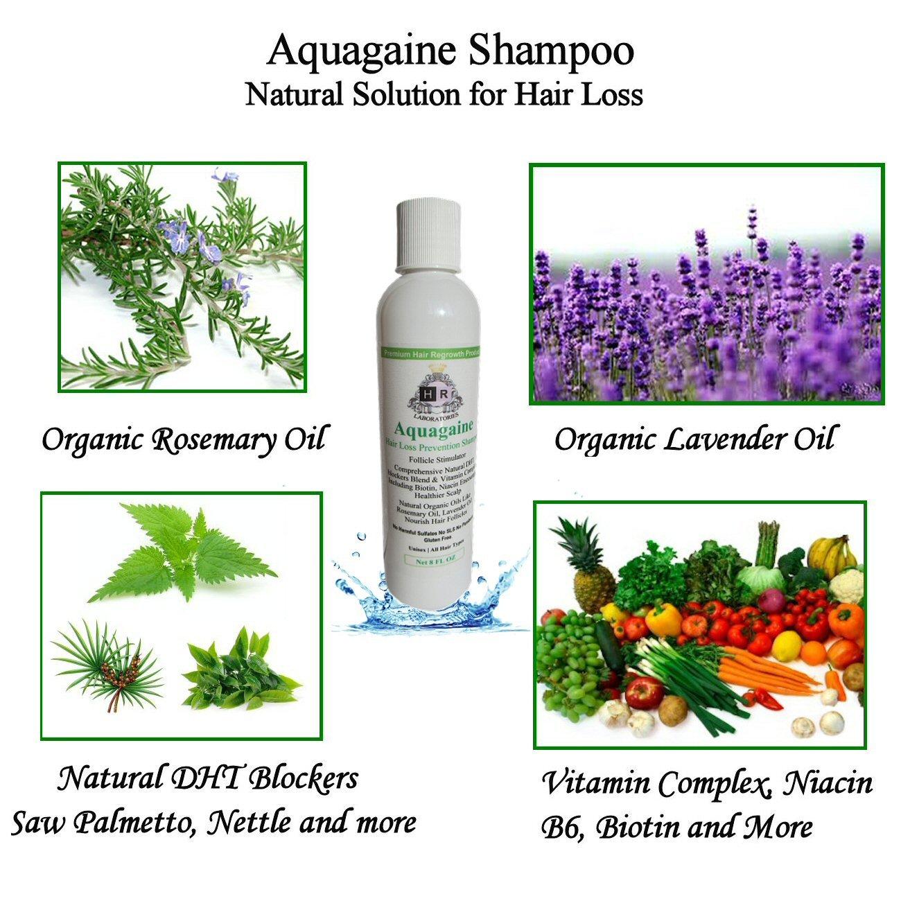 Aquagaine Aquagaine Premium Hair Loss Prevention/Restoration Shampoo with Organic Rosemary & Lavender Oil, Natural DHT Blockers and Biotin for Hair Growth – Sulfate Free, For Men & Women, 8 OZ