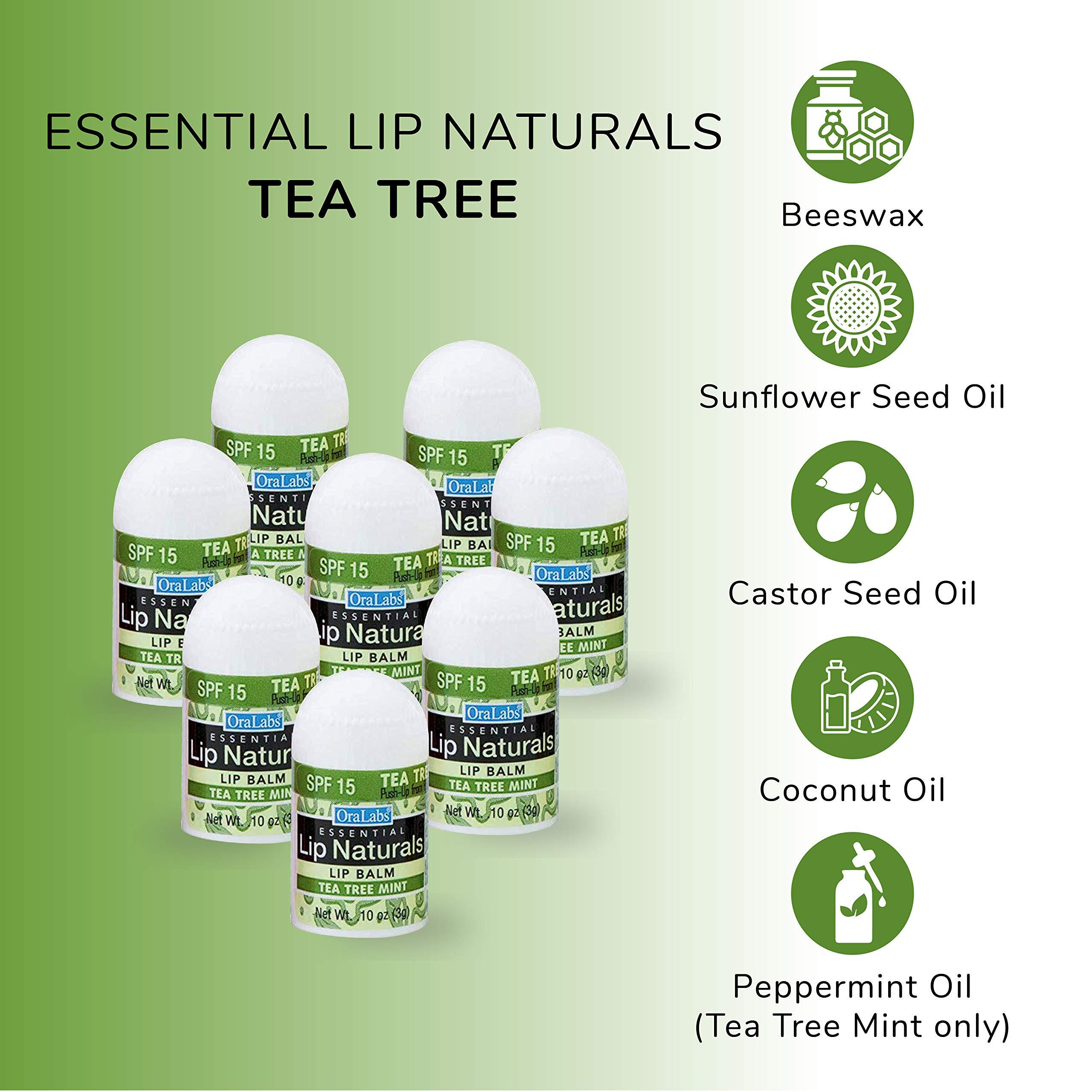 CHAP-ICE Lip Naturals | Assorted Mini Lip Balm with Sunscreen (SPF-15) | Made in USA | 12-Count Pack with Bing Cherry, Tea Tree Mint, and Vanilla Bean Flavors (0.10oz/3g Each)