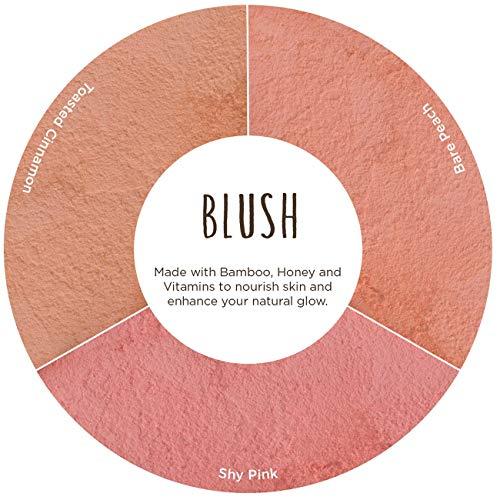Burt's Bees Burt's Bees 100% Natural Origin Blush with Vitamin E, Toasted Cinnamon - 0.19 Ounce
