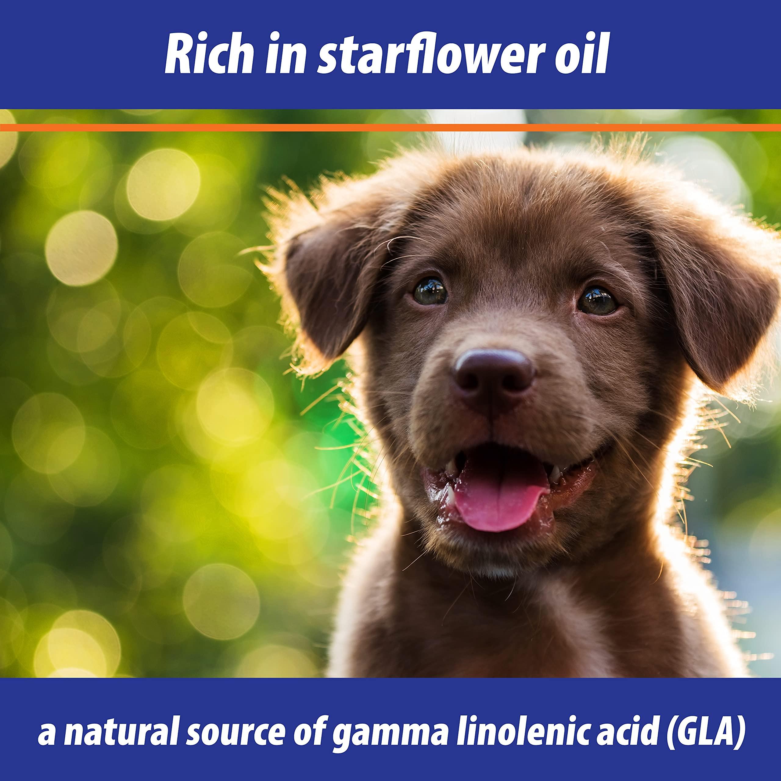 Exmarid Monster Pet Supplies Bob Martin Exmarid Dry Skin Formula With Starflower Oil