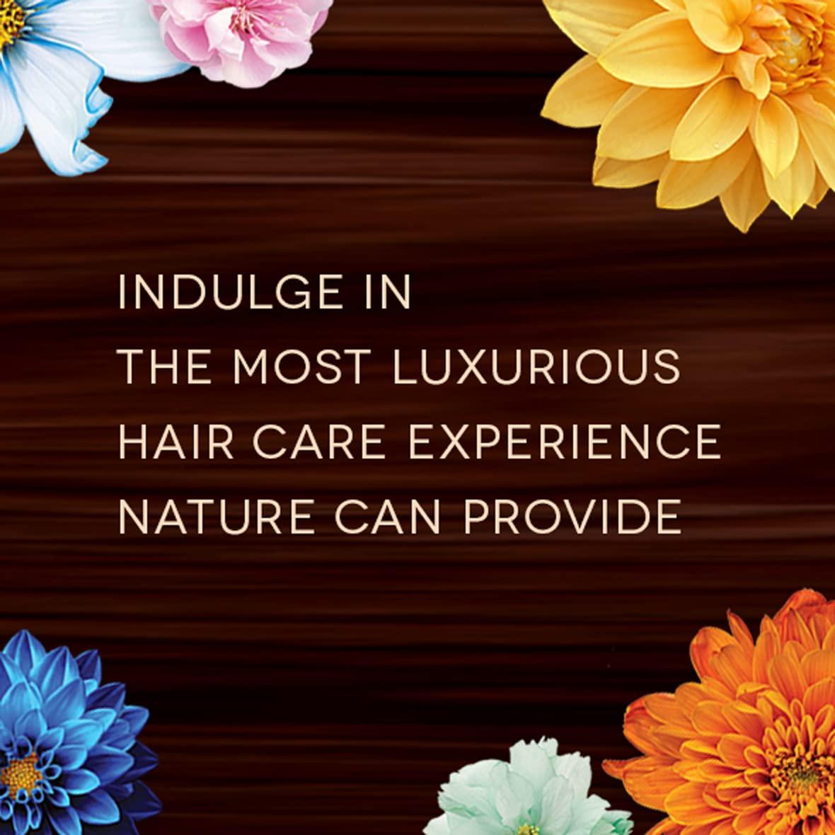 Bain de Terre Bain de Terre Balancing Shampoo & Conditioner Set | Green Meadow | Normal to Oily Hair | Paraben Free | 13.5 Fl Oz