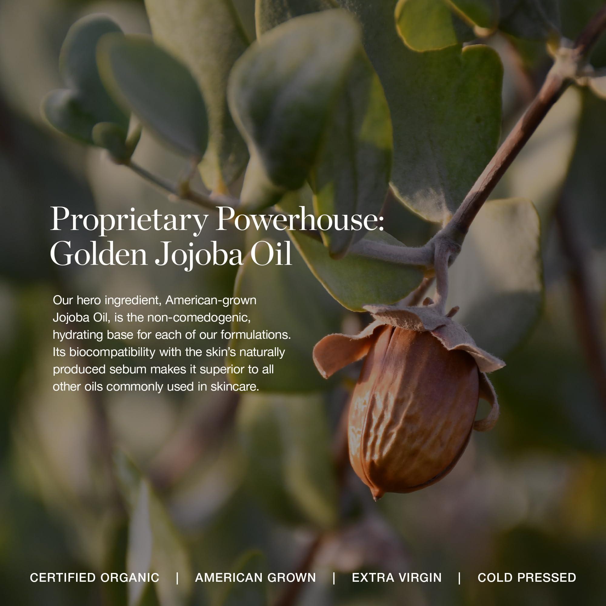 Ogee Ogee Complexion Perfecting Tinted Moisturizer For Face (Cedar 1.20C - Fair, Pink-Beige Undertones) - Lightweight Tinted Serum with Vitamin C & Jojoba Oil - Certified Organic & Made in USA