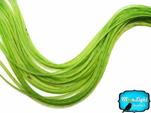 Moonlight Feather Moonlight Feather, Hair Extension Feathers - Solid Lime Color - 7-10 Inches Long, 10 Feathers