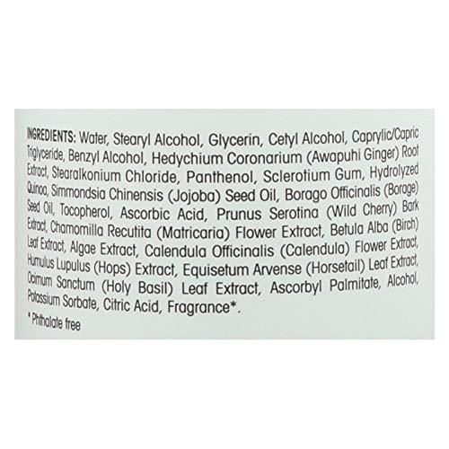 Nature's Gate Nature's Gate Volumizing Conditioner, Awapuhi Ginger + Holy Basil 18 oz