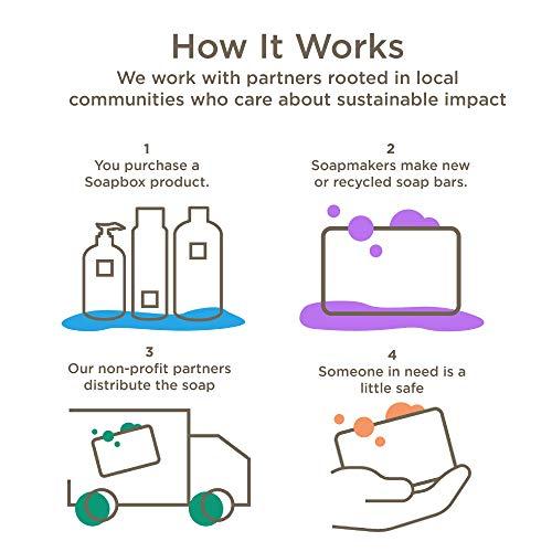 Soapbox Soapbox Liquid Hand Soap, Coconut Milk & Sandalwood, Gentle & Moisturizing Hand Wash for Kitchen and Bathroom, Vegan & Cruelty Free Scented Hand Soap 12 Ounce Pump Bottles (Pack of 3)