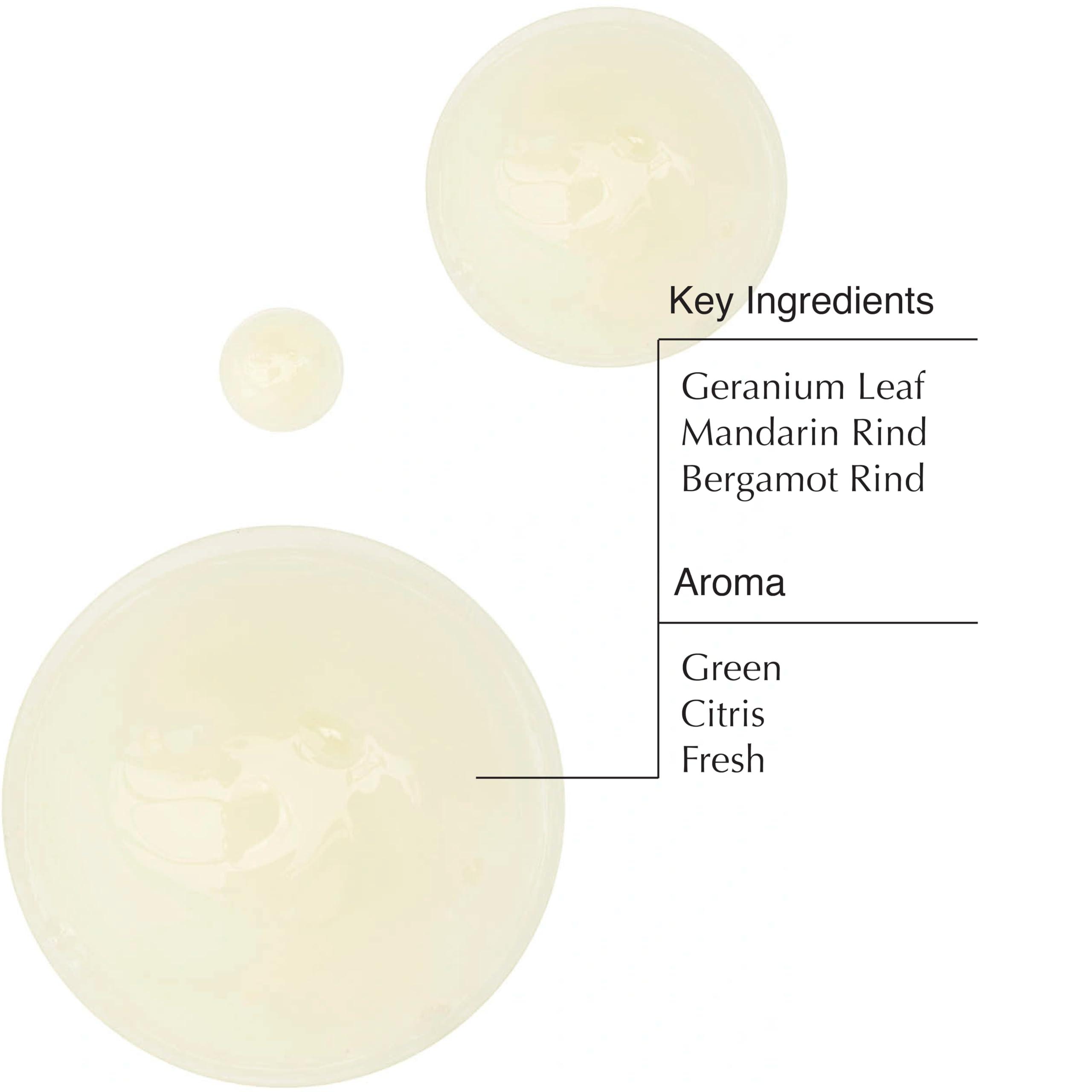 Aesop Aesop Geranium Leaf Body Cleanser | Invigorating Cleansing Gel | Alternative to Conventional Soap | Paraben, Cruelty-free + Vegan |16.9 oz Pack of 3