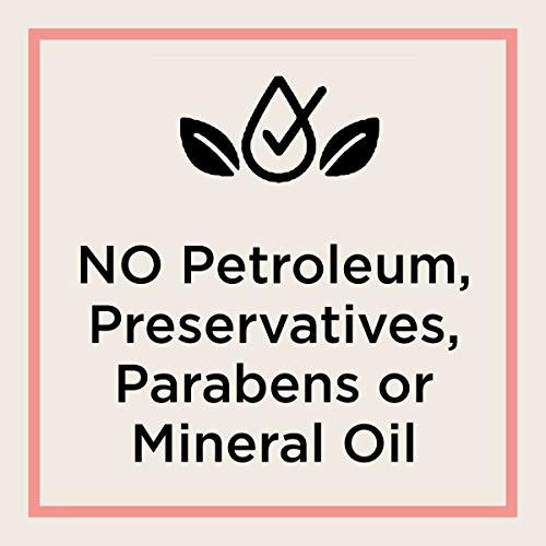 Carmex Carmex Comfort Care Lip Balm Sticks with Colloidal Oatmeal, Watermelon Blast Flavor, 6 Count (3 Packs of 2)