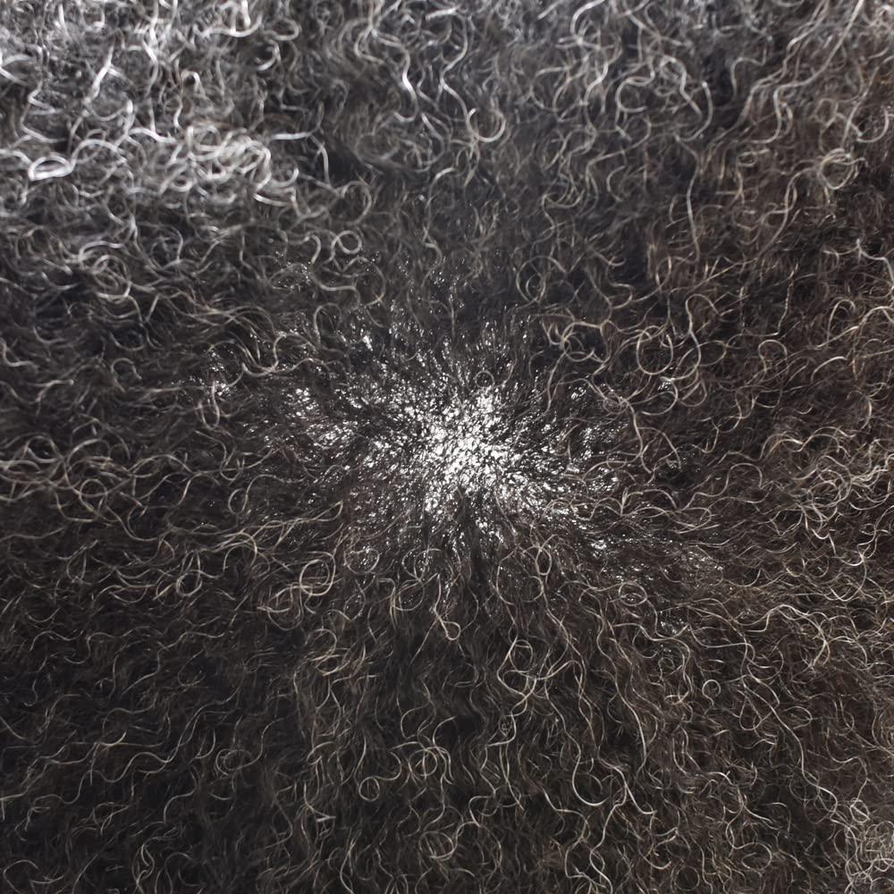 WigVivid WigVivid Lace Front Afro Curl Toupee for Black Men African American Afro Kinky Curly Brazilian Human Hair Unit for Black Men Breathable Afro Mens Toupee 8x10 inch (#1B20 Off Black+20% Gray-6mm wave)
