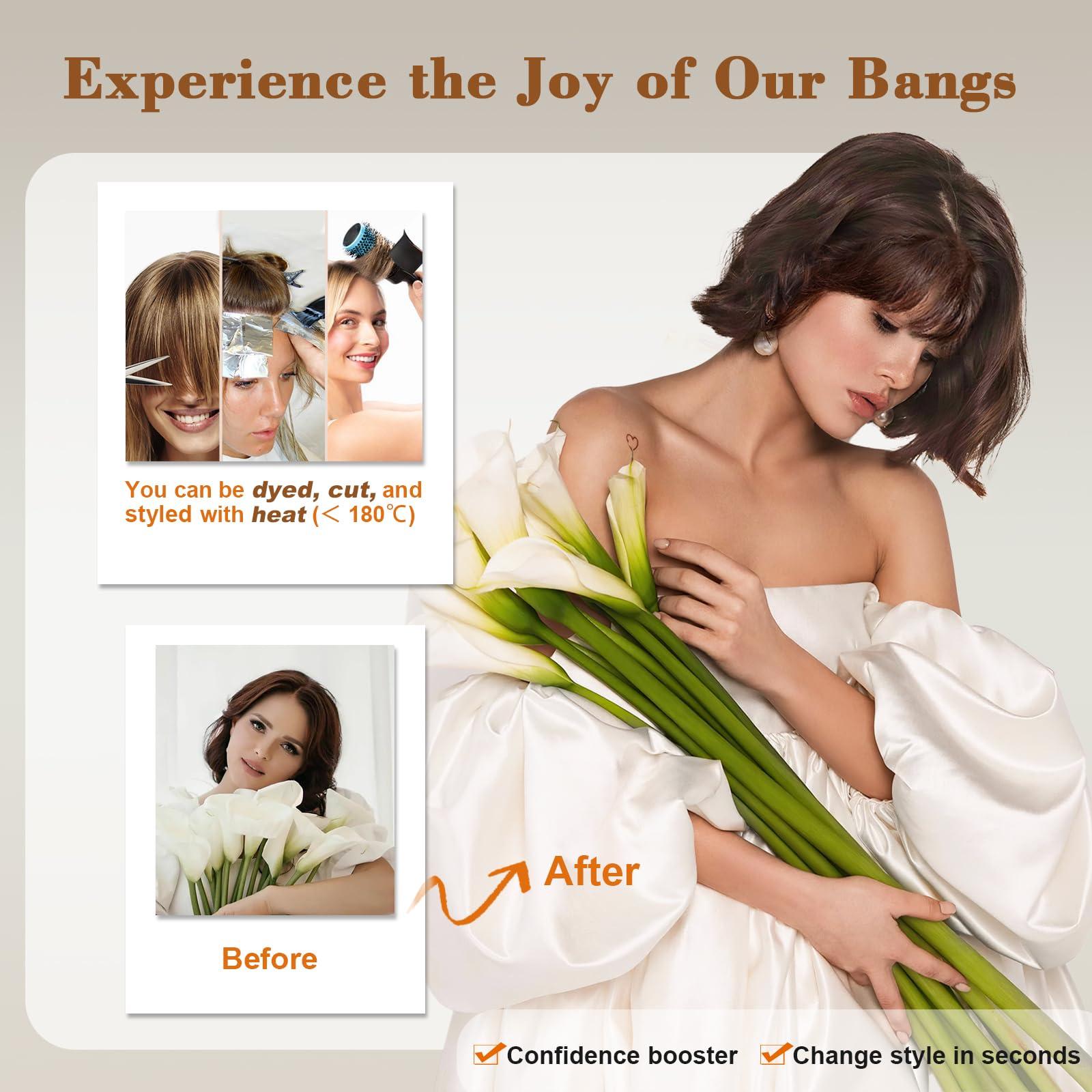 QGZ QGZ Clip in Bangs-Fake Bangs Hair Clip Fringe with Temples Hairpieces 100% Real Human Hair Extensions Curved Clip On Bangs for Women(Dark Auburn Brown Air Bangs)