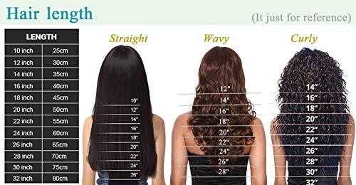 S-noilite S-noilite Clip in Hair Extensions Human Hair Clip in Human Hiar Short Wine Red Hair 8 Pieces 18 Clips 100% Real Human Hair Standard Weft Silky Full Head Straight 16"-90g Wine Red (#99J)